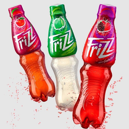 FriZZ Gaseosa*370 mL Pac*24