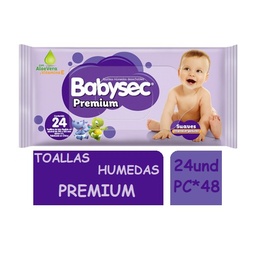 [3086] Babysec Pañitos Premium*24u Cj*48
