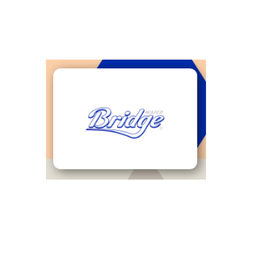 Bridge Wafer*10u Caj*24